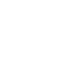 Image Not Found On Media Library