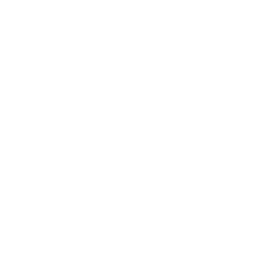 Image Not Found On Media Library