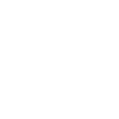 Image Not Found On Media Library