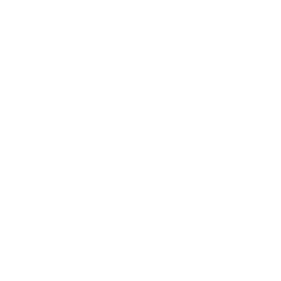 Image Not Found On Media Library